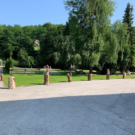 Landgasthof Steinmuehl Hofbauer Fruehstueckspension Und Campingplatz 바이트호펜 안 데어 입스 외부 사진